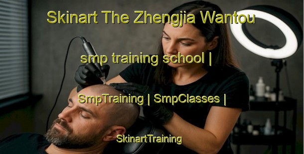 Skinart The Zhengjia Wantou smp training school | SmpTraining | SmpClasses | SkinartTraining-China